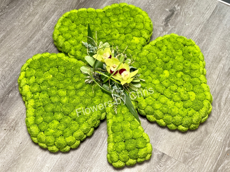 2D Shamrock