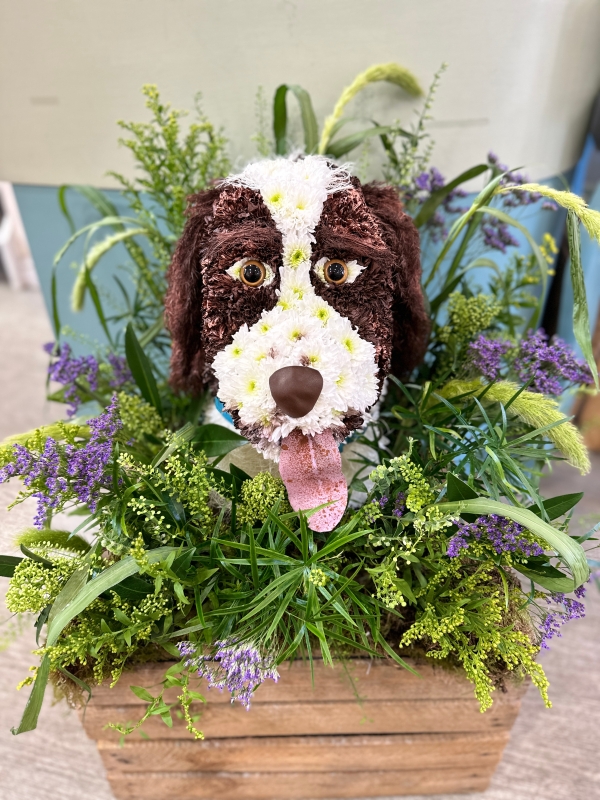 3D Cocker Spaniel