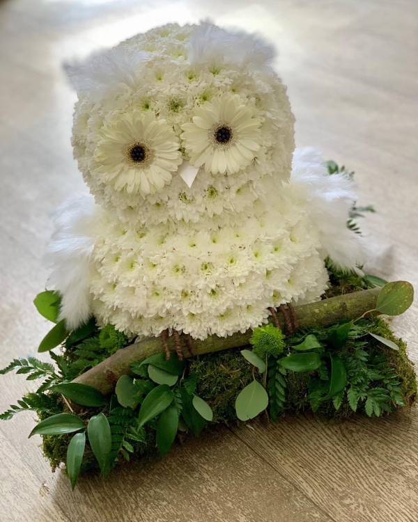 3D Owl