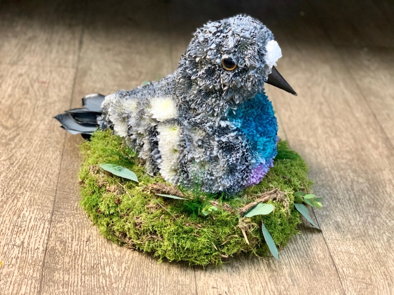 3D Pigeon
