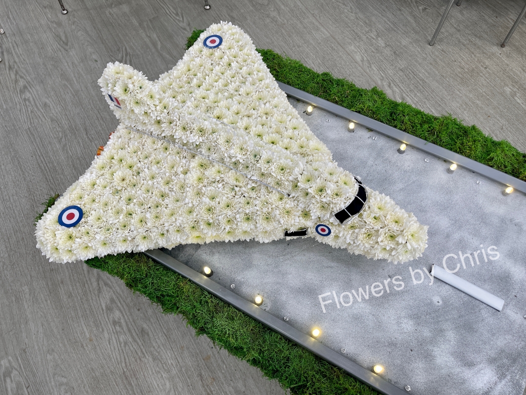 3D RAF Airplane
