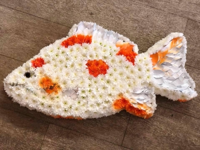 2D Carp