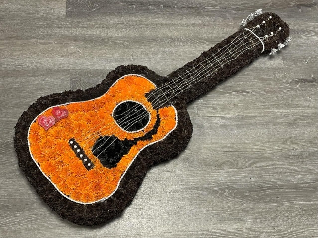 2D Guitar