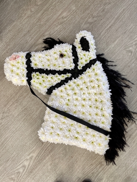 2D Horse Head.