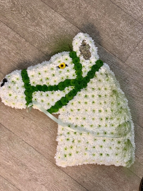 2D Horse Head