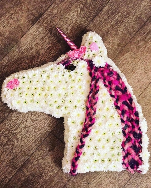 2D Unicorn
